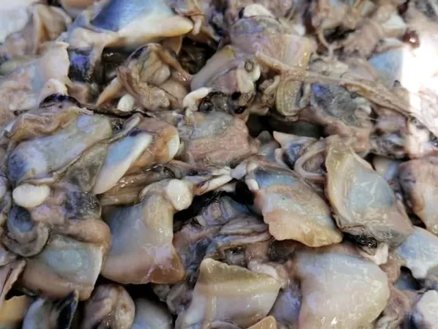 Fresh local shellfish at Prime Fresh Solomon