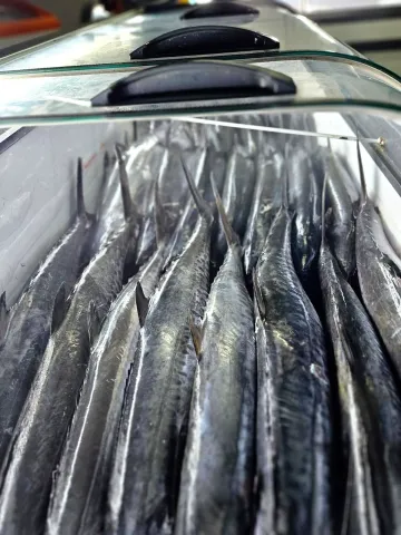 Fresh King Fish